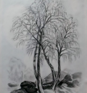 Břízy