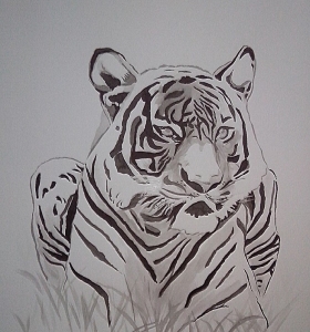 Tygr v trávě